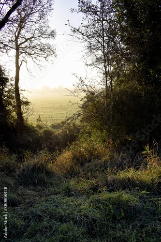 Beautiful Sunrise in Irish Countryside