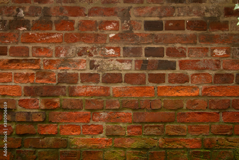 Obraz premium Backsteinwand