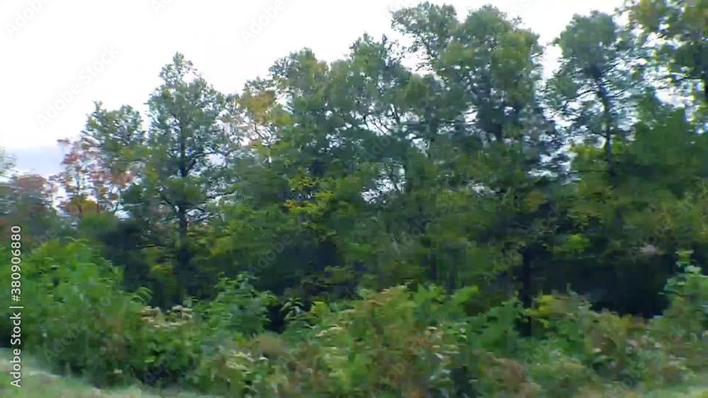 Driving on The Mountain Side Driving on The Mountain Side