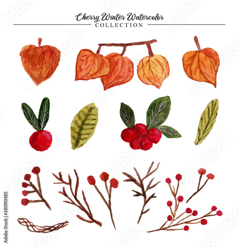 Cherry Winter Watercolor