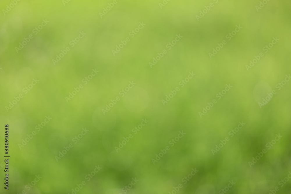 Abstract green bokeh background. Summer sunlight natural bokeh. Abstract green bokeh background. Summer sunlight natural bokeh.