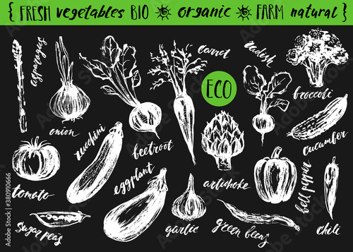 Hand drawn sketch of vegetables with lettering names.