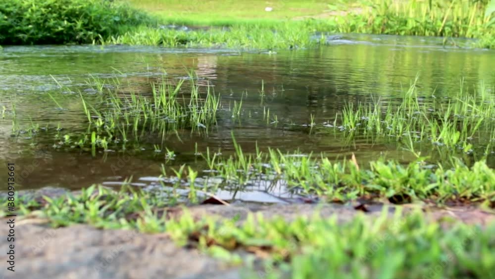 Clean flowing water Clean flowing water