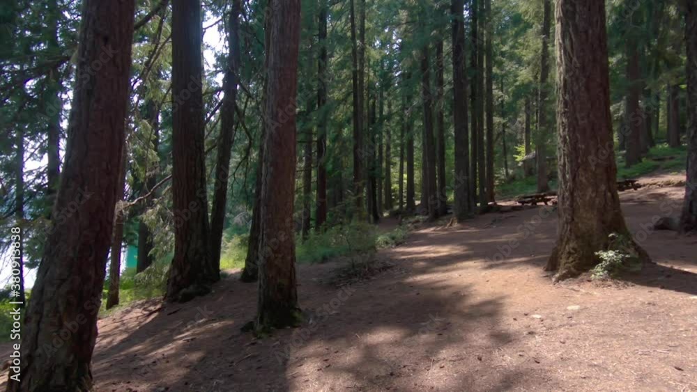 Spooky forest camera pan left toward clear lake. Spooky forest camera pan left toward clear lake.