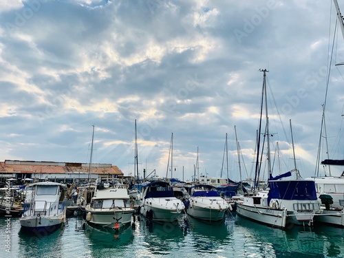 boats in the marina