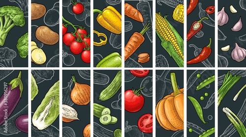 Set vegetables. Vector black vintage engraving illustration