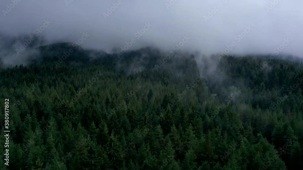 Fog in the mountains, pine forest, clouds movement. Natural background. Time lapse. Fog in the mountains, pine forest, clouds movement. Natural background. Time lapse.