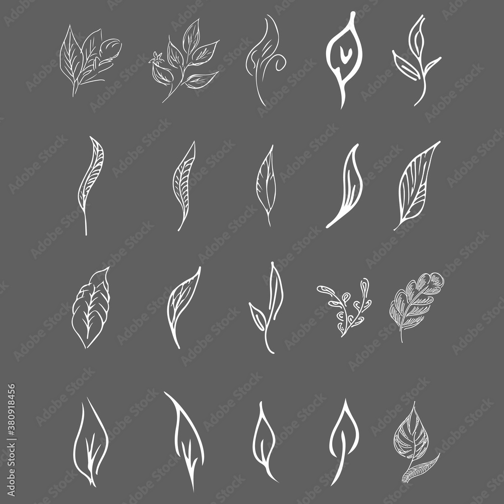 Doodle collection of 20 hand-drawn floral elements. Big collection of 20 hand-drawn leaves. Big floral botanical set isolated on a grey background
