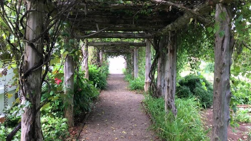 Carnton Plantation trellis walkway with birds photo