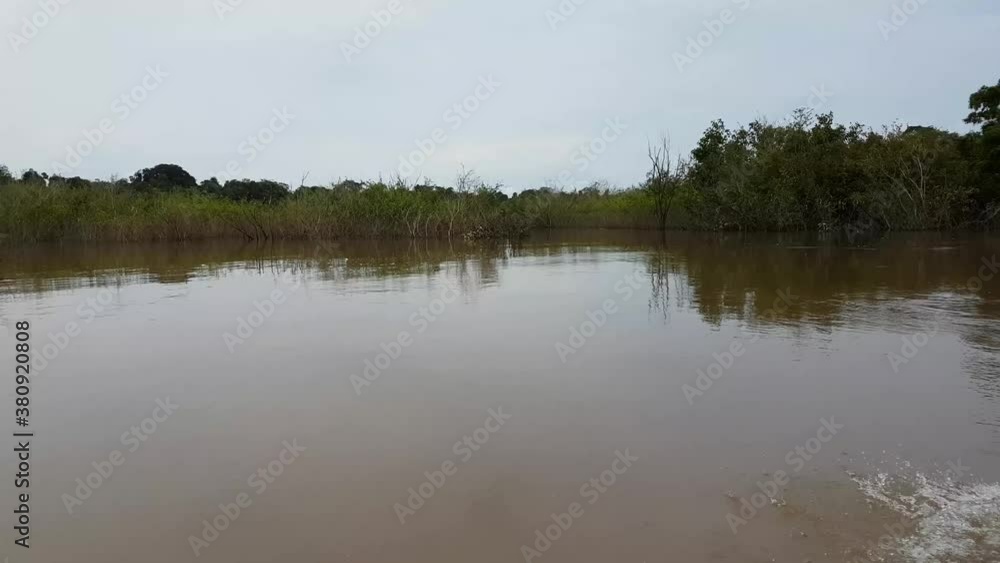 Amazon river and the amazon forest in Brazil. Amazon river and the amazon forest in Brazil.