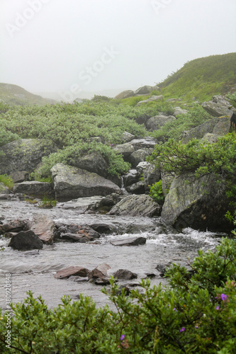 Hydnefossen waterfall and Hydna river, Veslehødn Veslehorn mountain, Hemsedal, Norway. photo