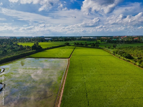 View of green paddy field with city at background - top down aerial view.