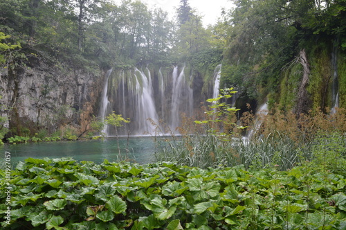 Fototapeta Naklejka Na Ścianę i Meble -  The turquoise waters from the stunning waterfalls in the Plitvice Lakes National Park in Croatia