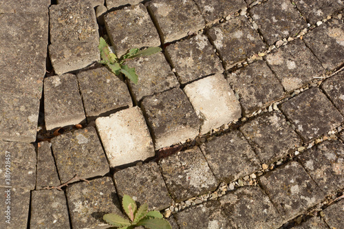 loose and unkempt cobblestone pavement close-up view
