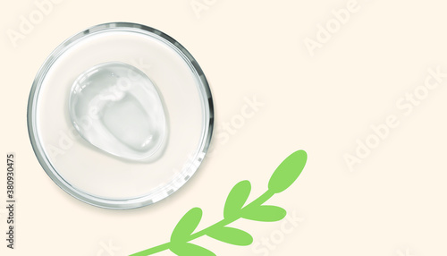 Transparent gel smear in petri dish and green hand-drawn plant branch, top view. Horizontal vector illustration. Concept organic natural beauty product. Science and laboratory