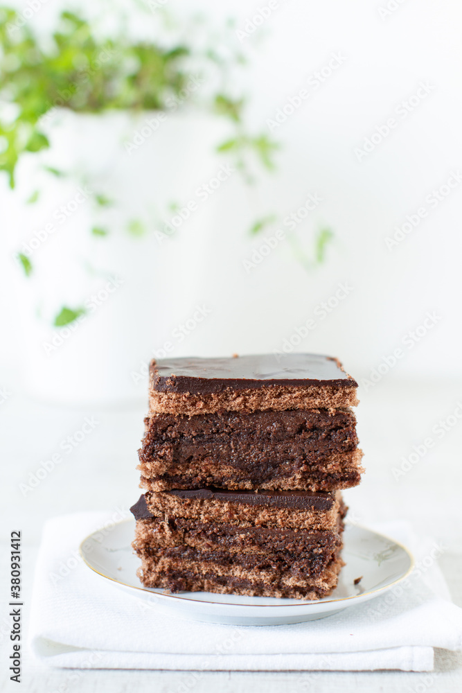 A piece of chocolate cake with mint on white table
A piece of chocolate cake with mint on white table