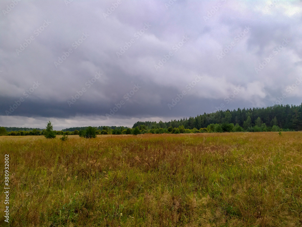 Autumn field, forest in the background. Dark, stormy sky. It's going to rain soon.