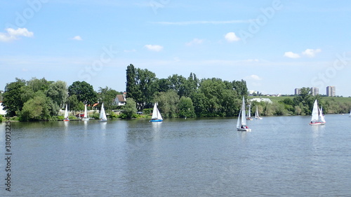 Wasserlandschaft in Bischofsheim am Main photo