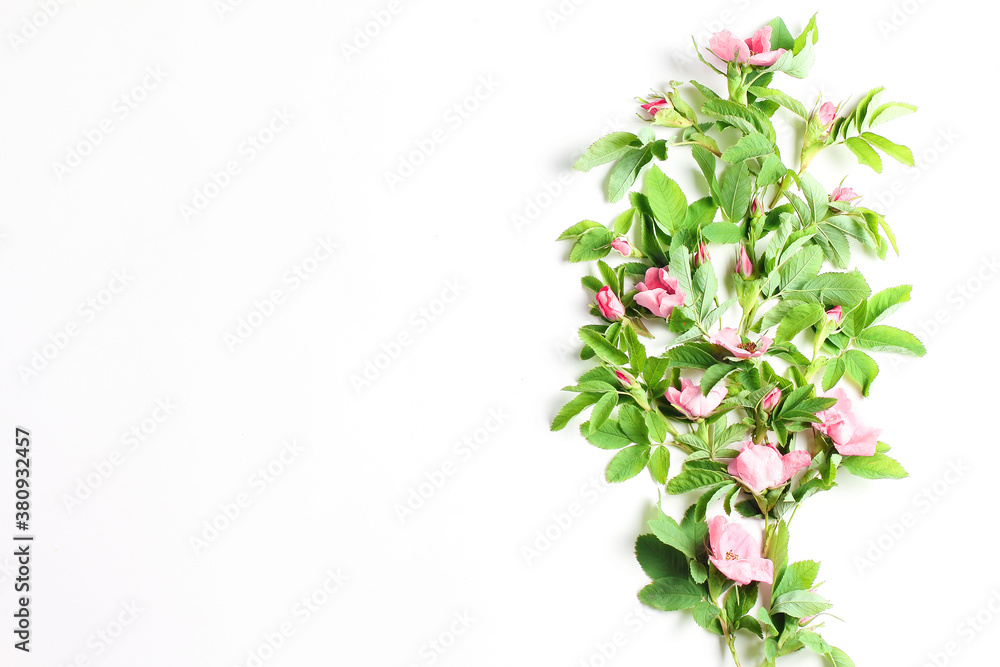 beautiful composition of fresh rose flowers and green leaves on a white background. holiday concept, flat lay, place for text beautiful composition of fresh rose flowers and green leaves on a white background. holiday concept, flat lay, place for text
