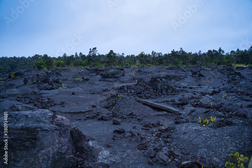 ハワイの溶岩地帯