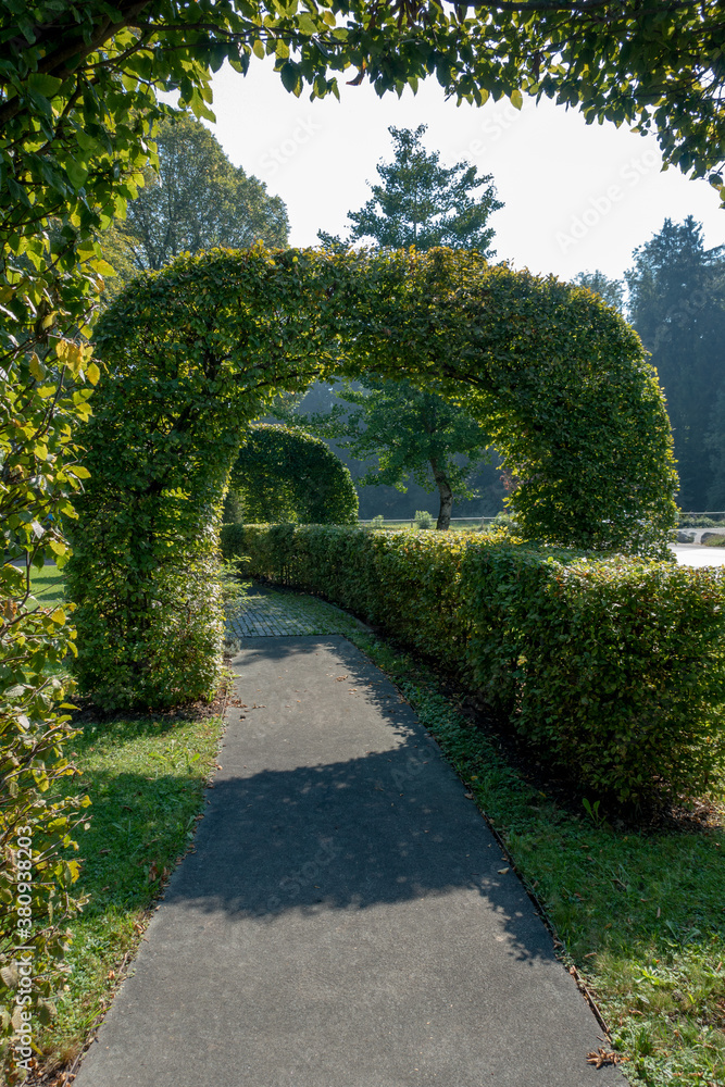 Fototapeta premium Linden im Park