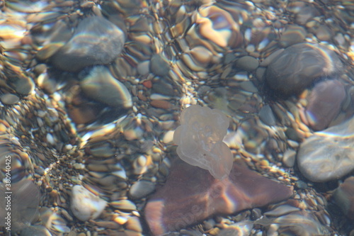 rocks on the sea floor