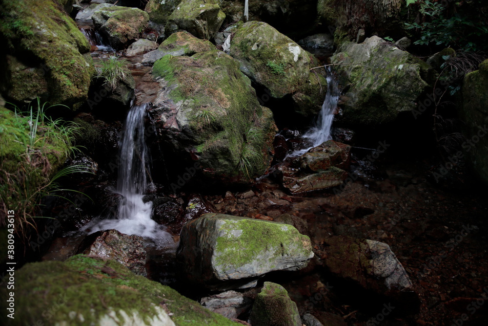 Fototapeta premium 日本の森林を流れる渓流域の清流