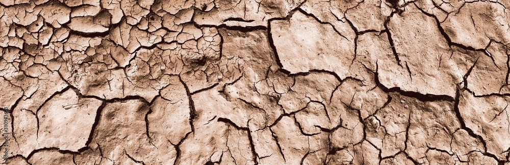 Background and texture of cracked dry earth. Panorama. Background and texture of cracked dry earth. Panorama.