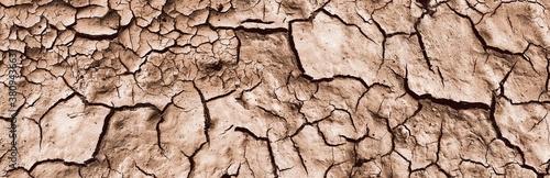 Background and texture of cracked dry earth. Panorama.