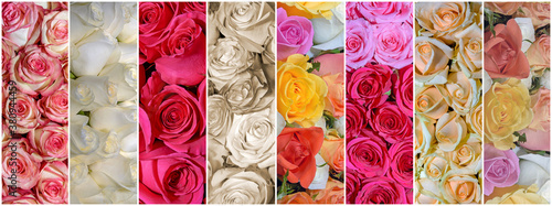 Beautiful collage of flowers.