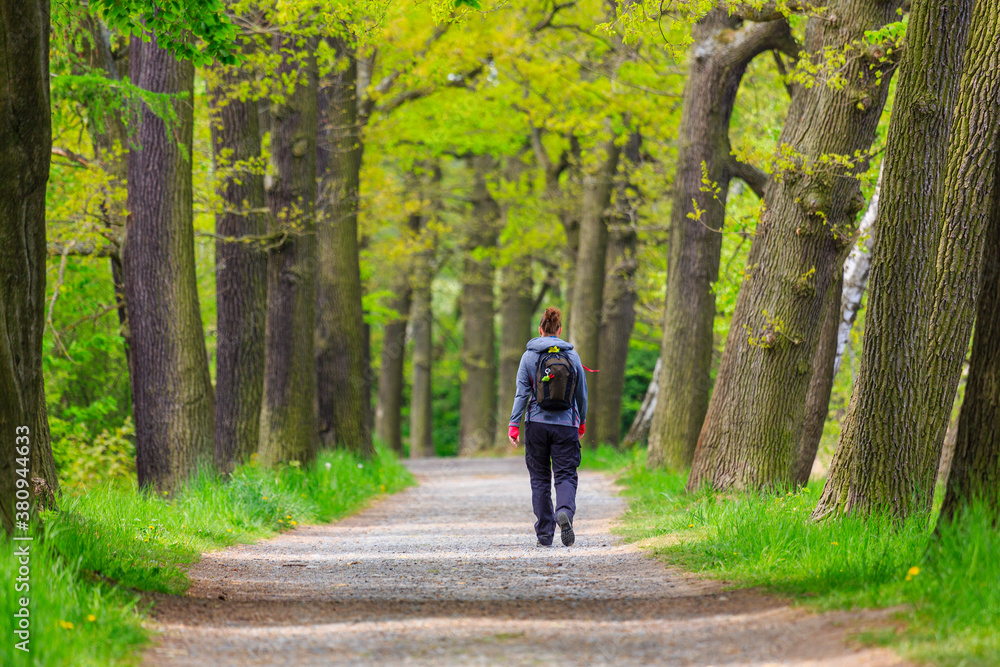 Single woman is hiking trough old deciduous forest, Thuringia, Germany