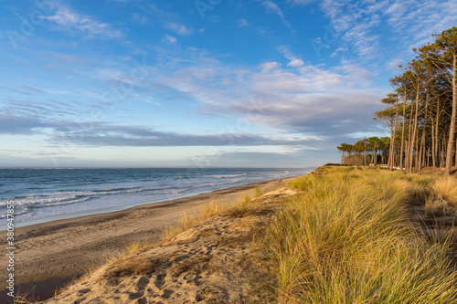 Bild auf Leinwand France, Gironde, la teste de buch, Plage de la lagune (3891-18)