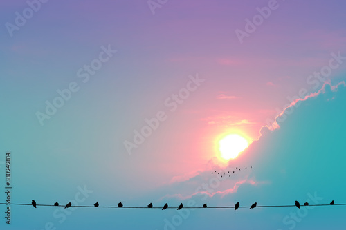 sunset on evening light pastel cloud on the sky and birds hang on power electric line