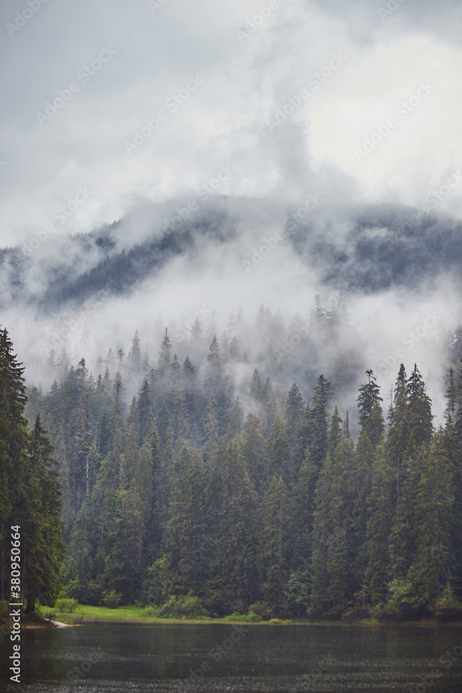 Fototapeta premium Mountain Lake Synevir in the rainy foggy summer day in Carpathian, Ukraine. Beautiful nature scenery outdoors. Coniferous forest with tall trees on the shore