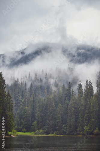 Mountain Lake Synevir in the rainy foggy summer day in Carpathian, Ukraine. Beautiful nature scenery outdoors. Coniferous forest with tall trees on the shore
