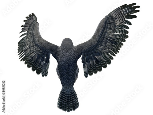 Peregrine Falcon 3d illustration isolated on white background