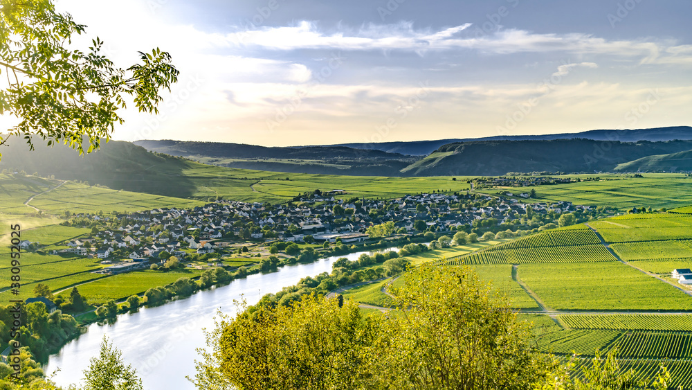 Beautiful moselle valley