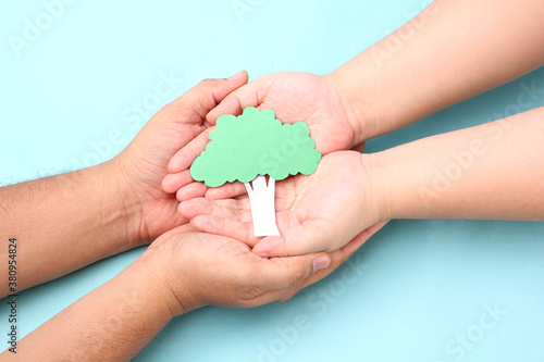 hands holding paper tree on blue background.