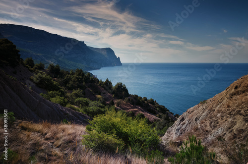 Crimea, mountains covered with pine trees descend to the sea