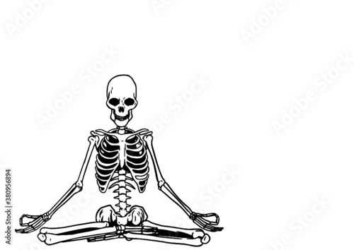 skull and bones