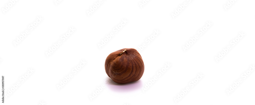 One hazelnut on white isolated background macro photo One hazelnut on white isolated background macro photo