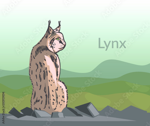 lynx sitting on the background of the landscape