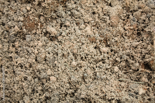 Sand texture used in flower pots