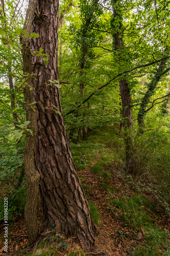 Wonderful autumn hike near Sipplingen and Uberlingen on Lake Constance