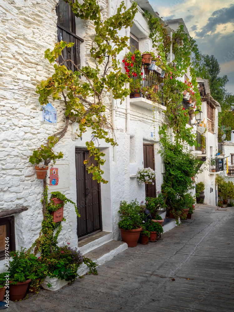Fototapeta premium Capileira, typical village of the Alpujarra, Sierra Nevada in Spain.