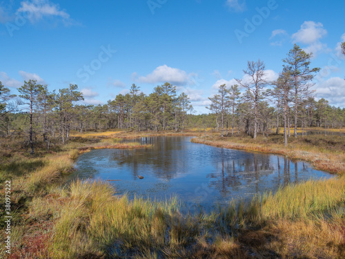 Viru bogs at Lahemaa national park