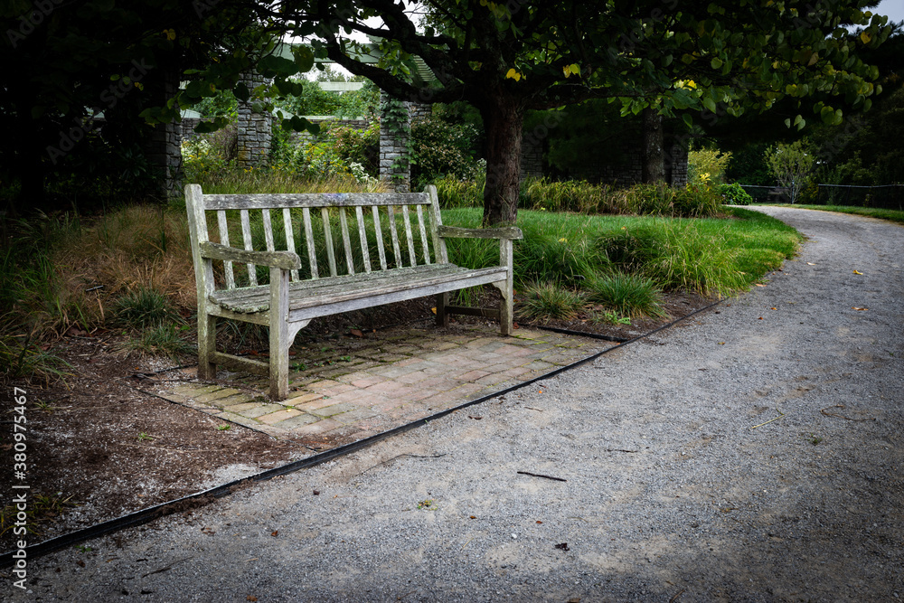 A bench covered in white fungus next to park alley in the Arboretum Botanical Garden in Lexington, Kentucky USA A bench covered in white fungus next to park alley in the Arboretum Botanical Garden in Lexington, Kentucky USA