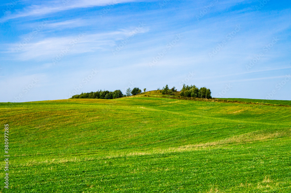 Beautiful summer bright green meadow and field with blue sky. Empty landscape
