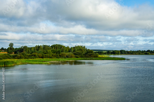 Landscape overlooking the lake with a forest shore