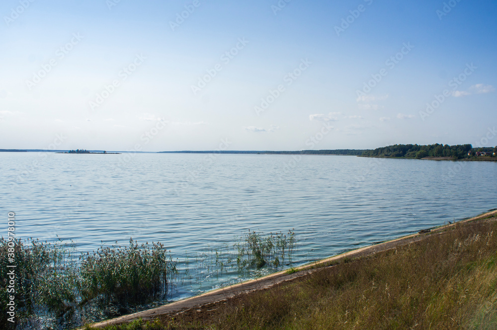 Landscape overlooking the lake with a forest shore